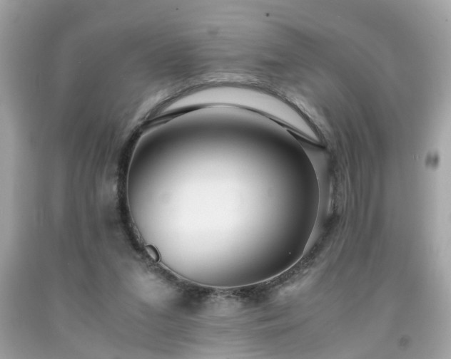 X0000091960207200709131233