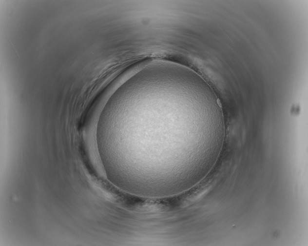 X0000091960209200709131233