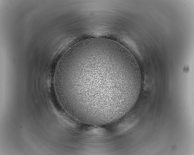 X0000091960210200709131233