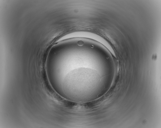 X0000091960211200709131233