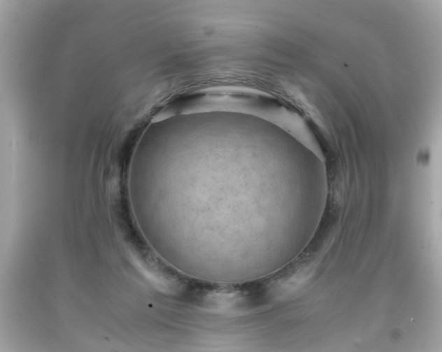 X0000091960213200709131233