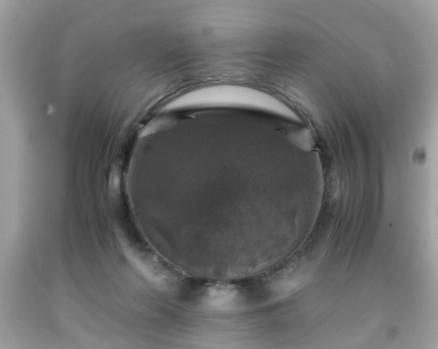 X0000091960214200709131233