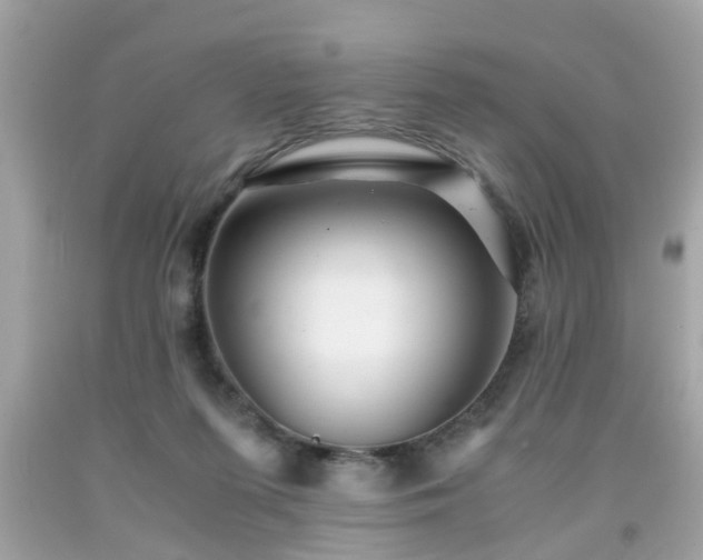 X0000091960215200709131233