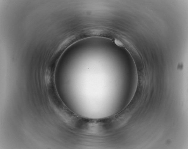 X0000091960216200709131233