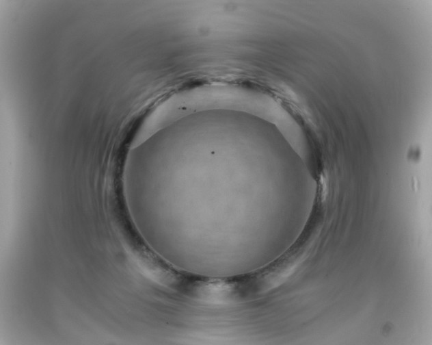 X0000091960217200709131233