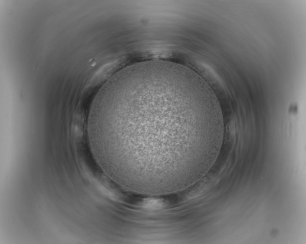 X0000091960218200709131233