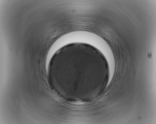 X0000091960219200709131233