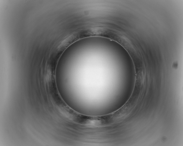 X0000091960220200709131233