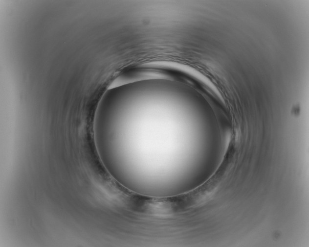 X0000091960221200709131233