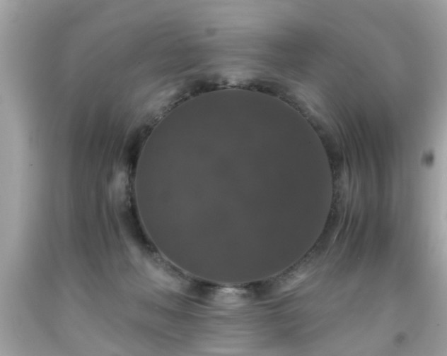 X0000091960222200709131233