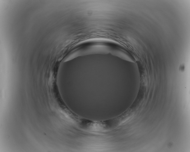 X0000091960223200709131233