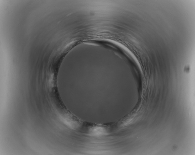 X0000091960224200709131233