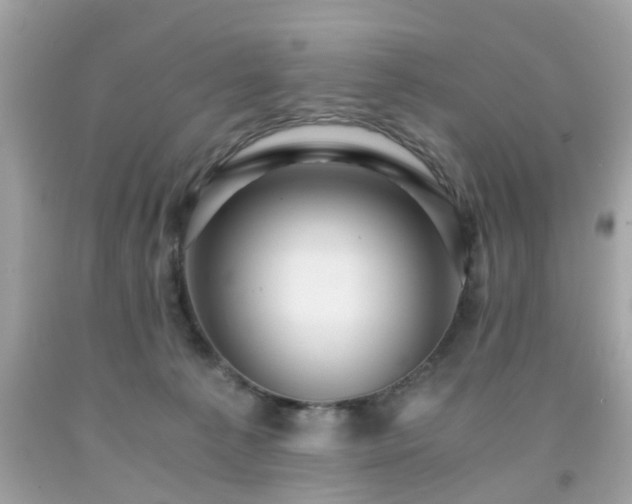 X0000091960225200709131233