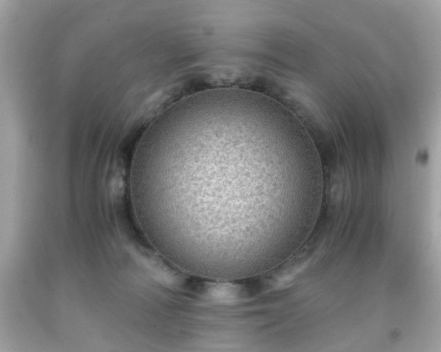 X0000091960226200709131233