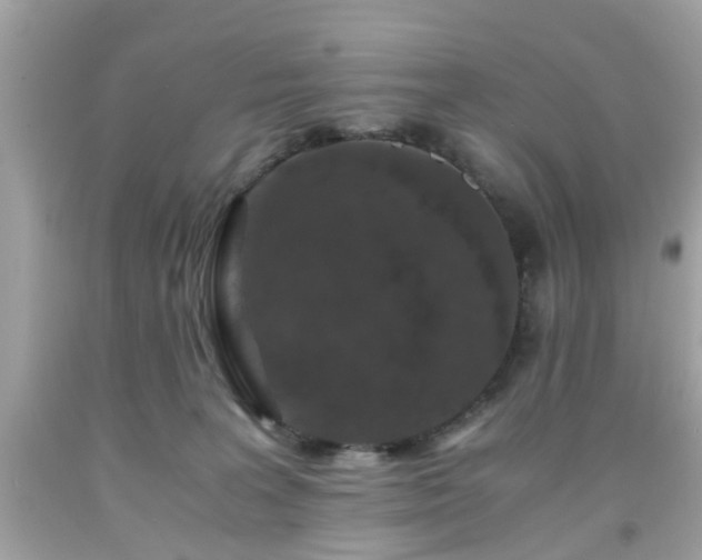 X0000091960227200709131233