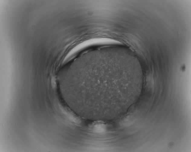 X0000091960228200709131233