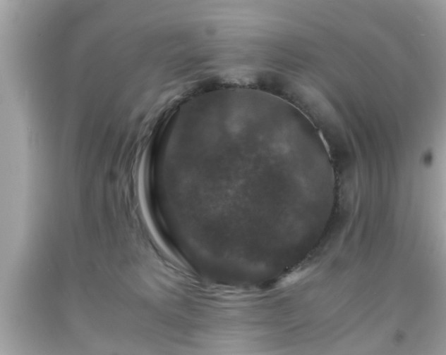 X0000091960229200709131233