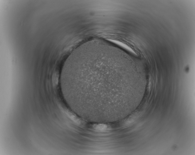 X0000091960230200709131233