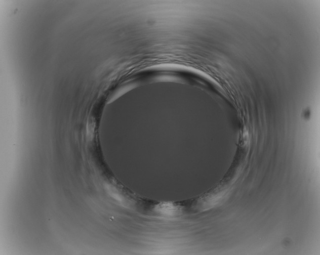 X0000091960231200709131233