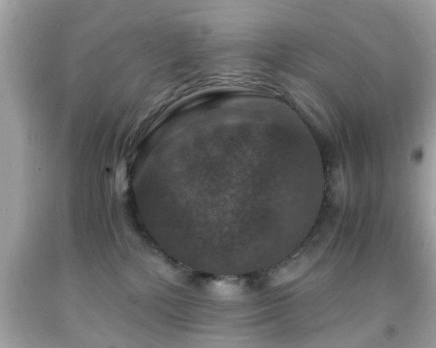 X0000091960232200709131233