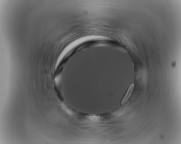 X0000091960233200709131233