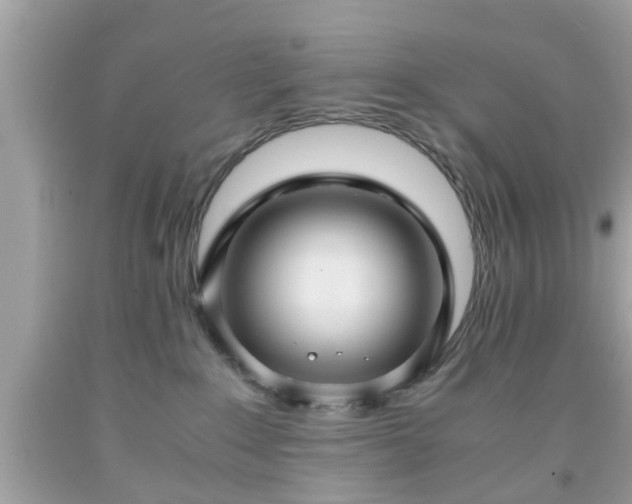 X0000091960235200709131233