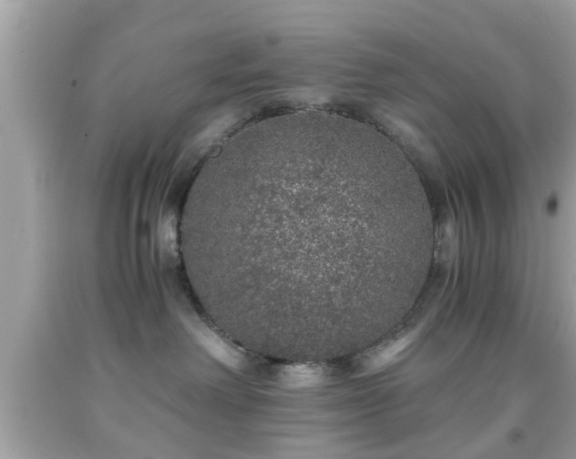 X0000091960238200709131233