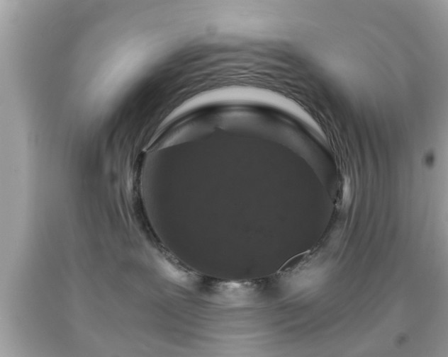 X0000091960239200709131233