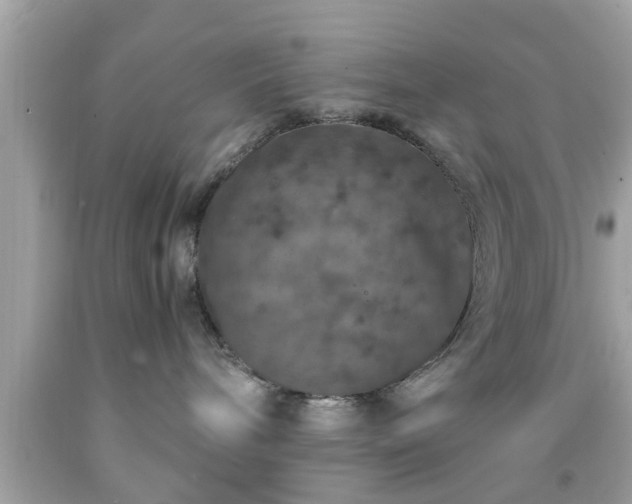 X0000091960240200709131233