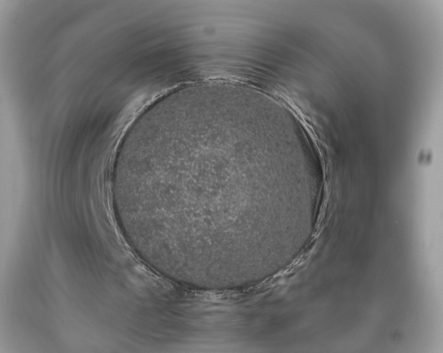 X0000091960241200709131232