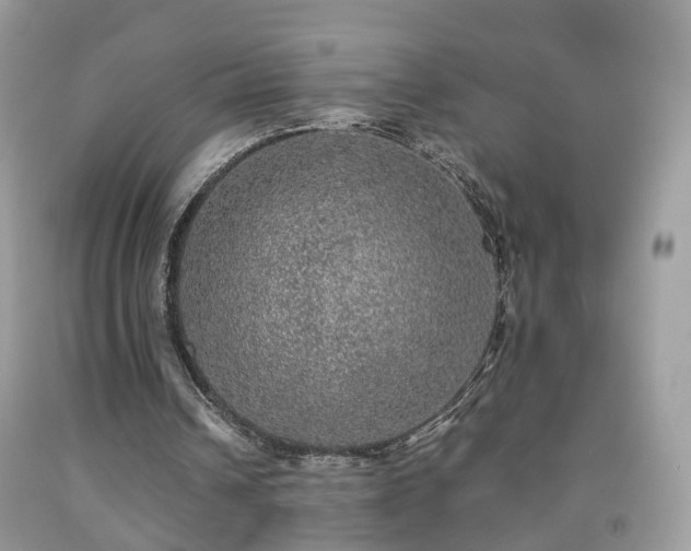 X0000091960242200709131232