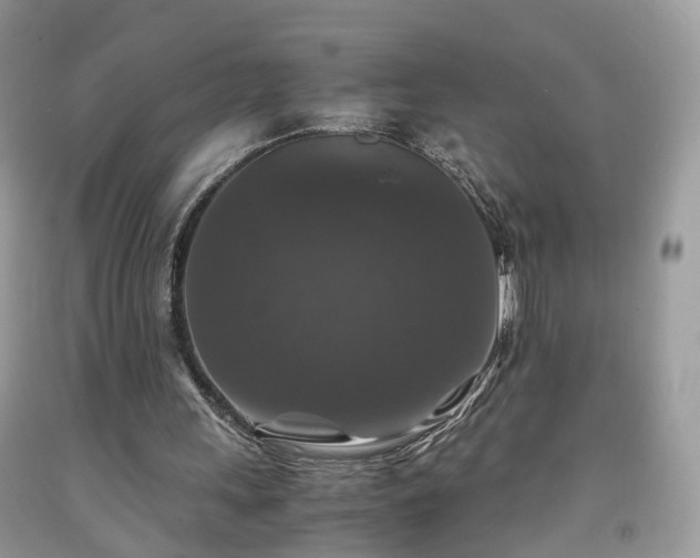 X0000091960243200709131232