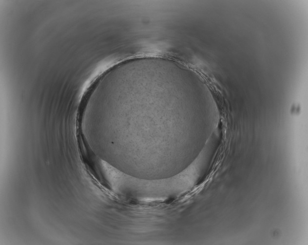 X0000091960244200709131232