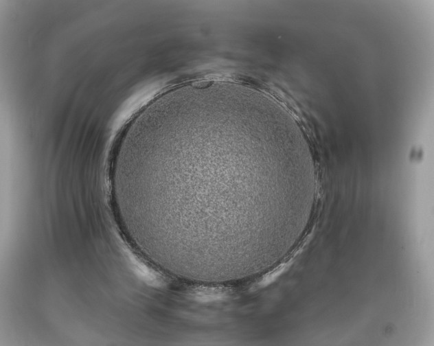 X0000091960245200709131232