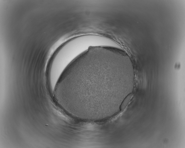 X0000091960246200709131232