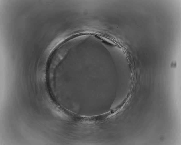 X0000091960247200709131232