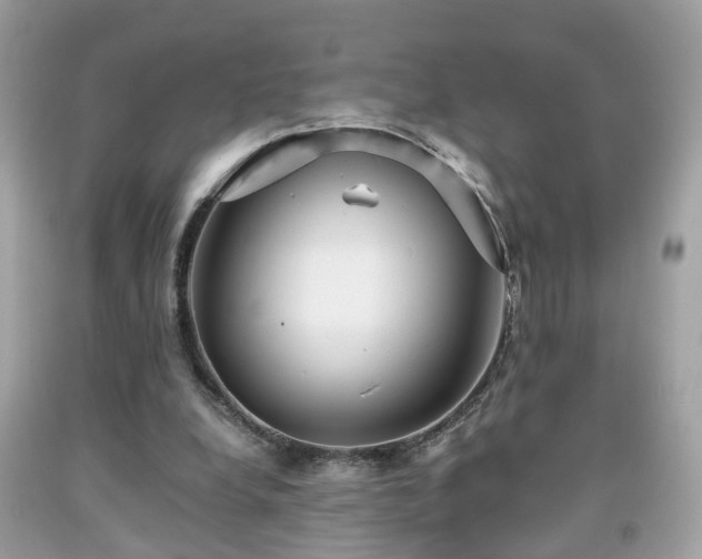 X0000091960248200709131232