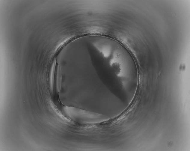 X0000091960249200709131232