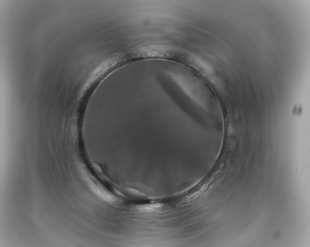 X0000091960250200709131232