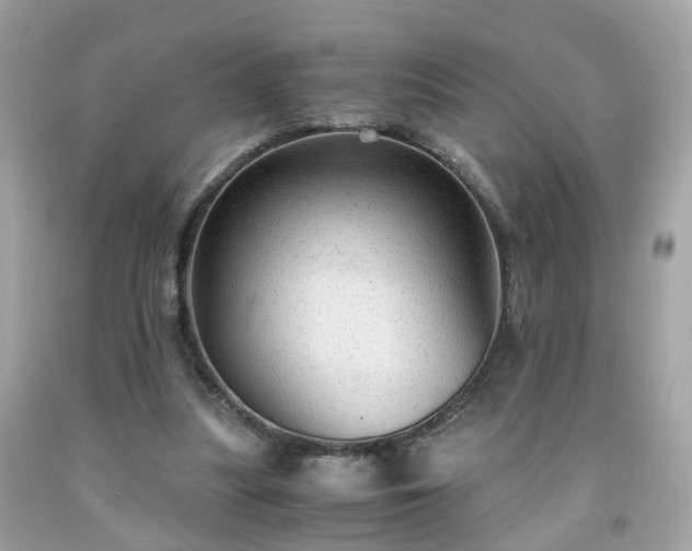 X0000091960251200709131233