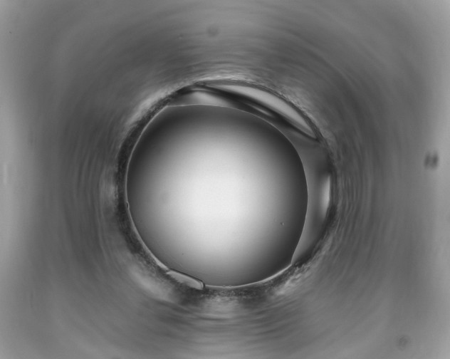 X0000091960252200709131233