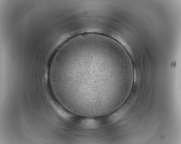 X0000091960253200709131233