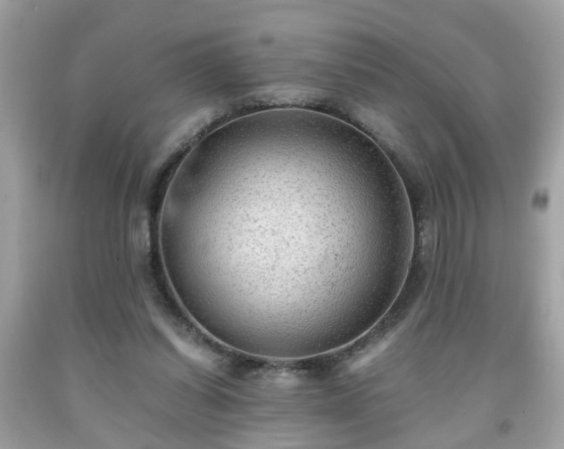 X0000091960254200709131233