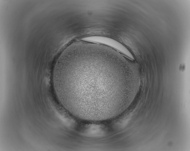 X0000091960255200709131233