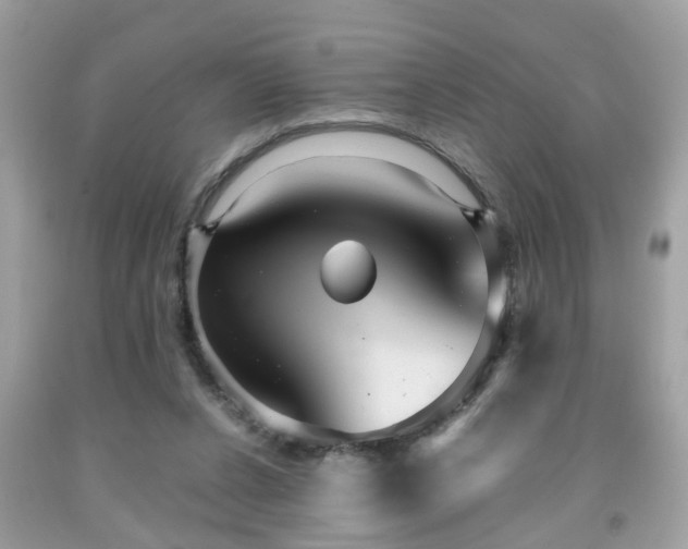 X0000091960256200709131233