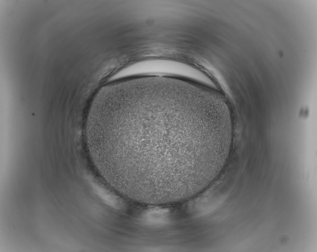 X0000091960257200709131233