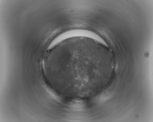 X0000091960260200709131233