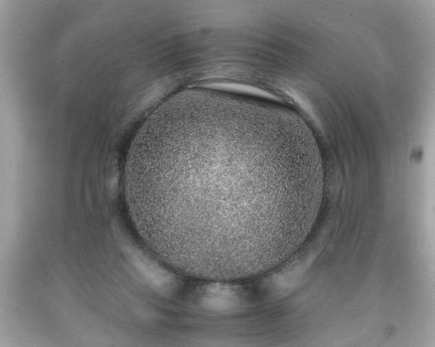 X0000091960261200709131233