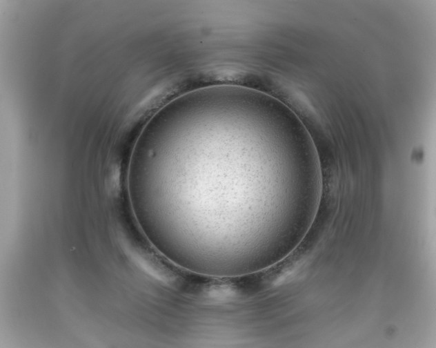 X0000091960262200709131233