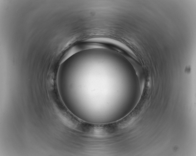 X0000091960264200709131233